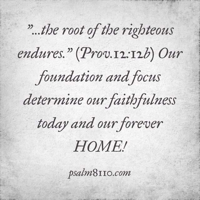 May 18, 2015 Word Picture-The Root of the Righteous Endures