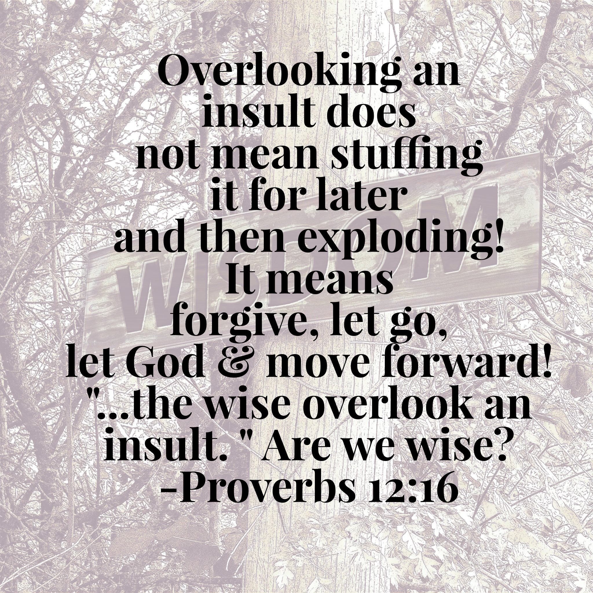 May 19, 2015 Word Picture-Overlooking Insult