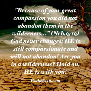 “Are You in a Wilderness?” December 28, 2015