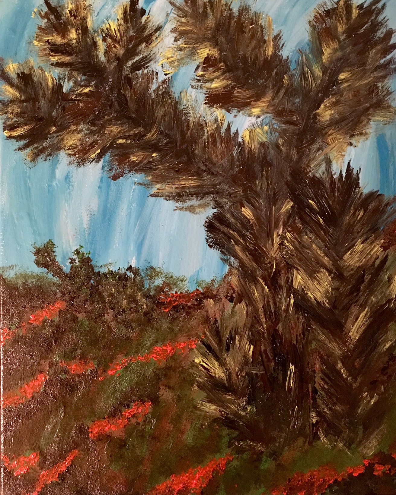 (Week 6) “Joshua Tree”