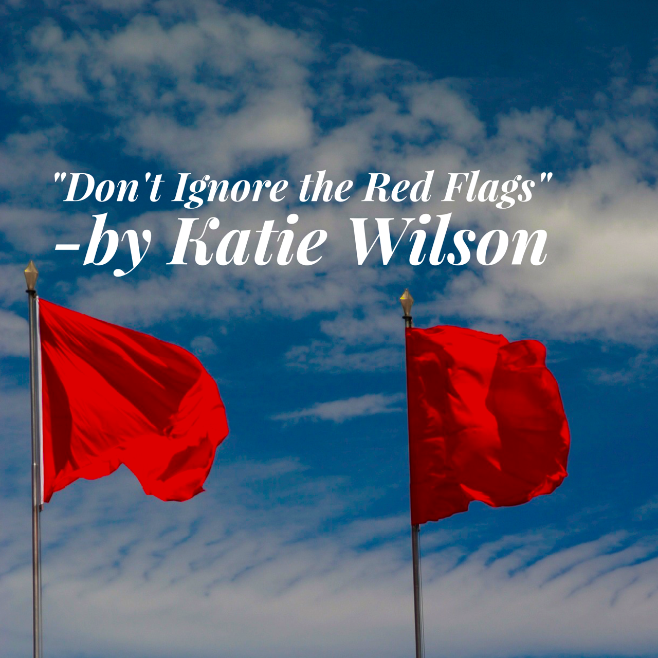 “Don’t Ignore the Red Flags” by Katie Wilson
