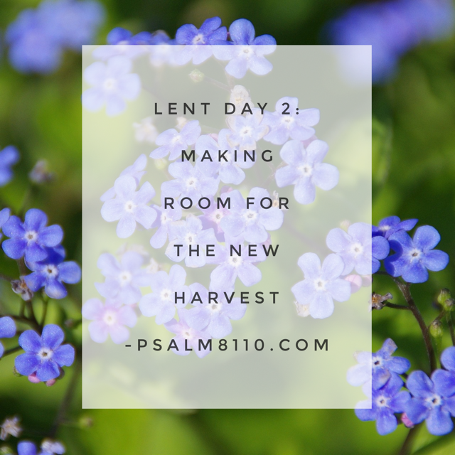 Lent Day 2: Making Room For The New Harvest