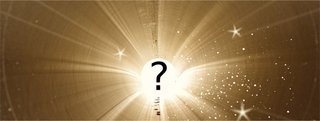 Meaningful Questions